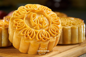 Dịch vụ chụp hình bánh Trung Thu chuyên nghiệp
